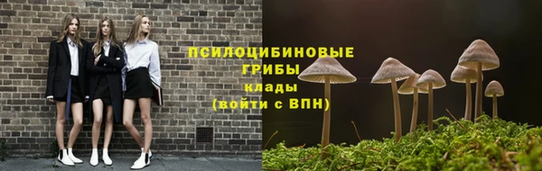 тгк Алексеевка