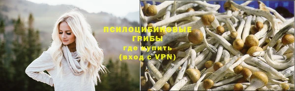 тгк Алексеевка
