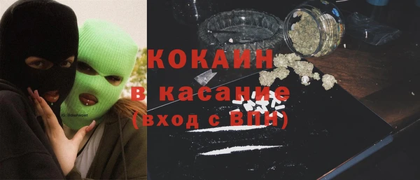 сатива Алзамай