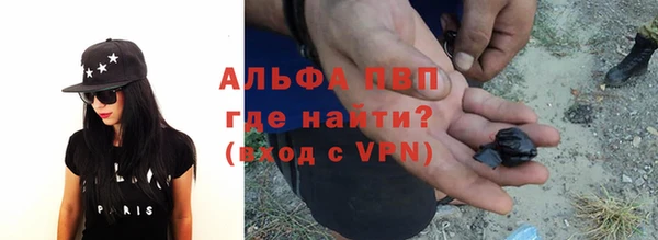 сатива Алзамай
